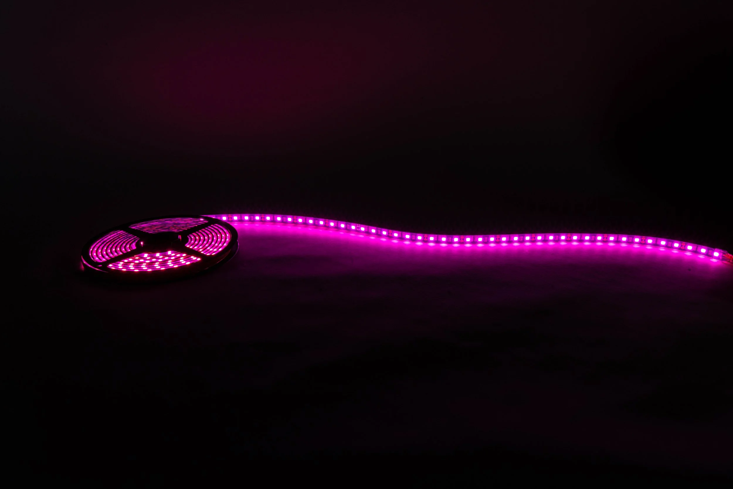 Phoenix LED strip lighting — WJR Inc.